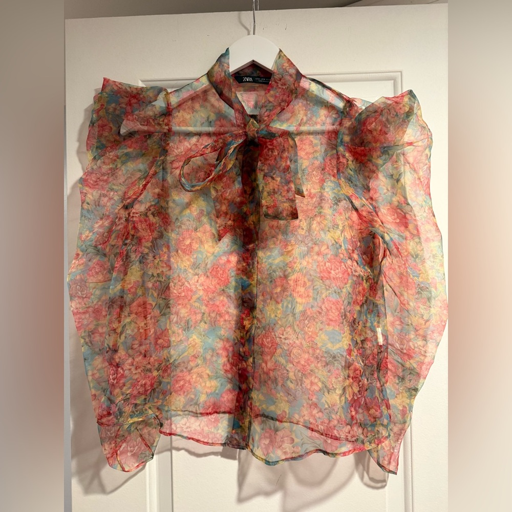 Zara Sheer Floral Blouse - Red and Blue